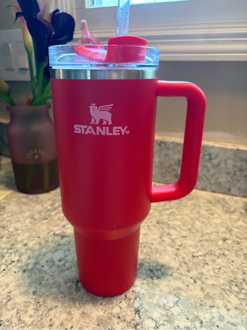 Stanley Red Valentines Day 40 oz